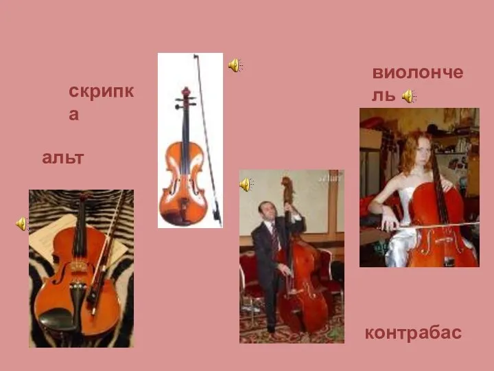 контрабас альт виолончель скрипка
