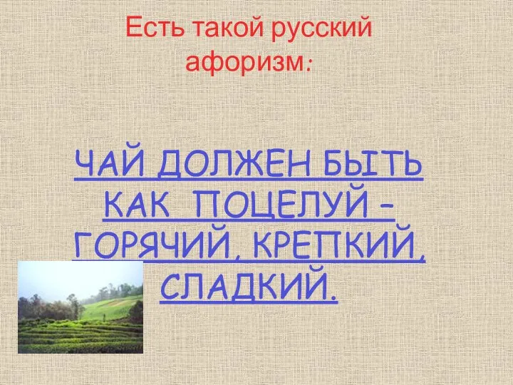 Есть такой русский афоризм: ЧАЙ ДОЛЖЕН БЫТЬ КАК ПОЦЕЛУЙ – ГОРЯЧИЙ, КРЕПКИЙ, СЛАДКИЙ.