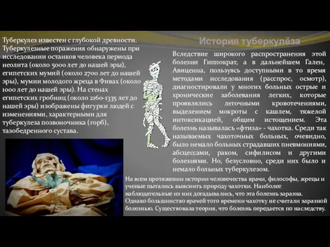 История туберкулёза Туберкулез известен с глубокой древности. Туберкулезные поражения обнаружены