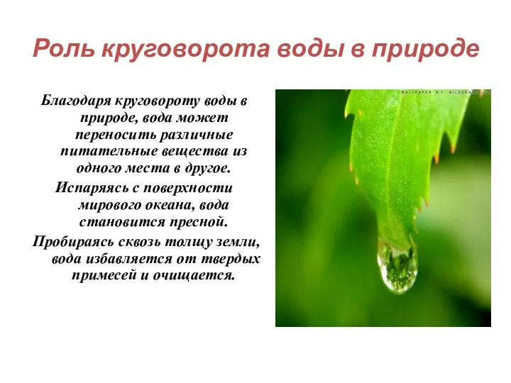 Роль круговорота воды в природе Благодаря круговороту воды в природе,