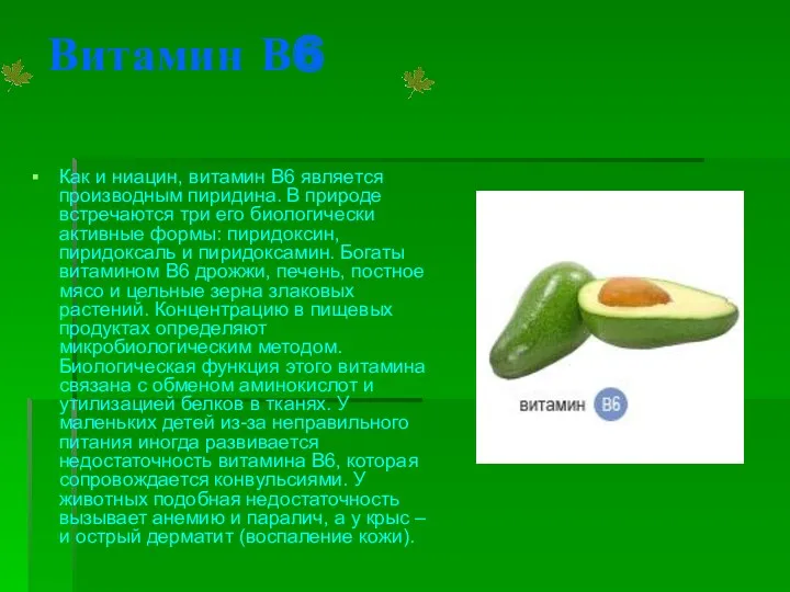 Витамин В6 Как и ниацин, витамин B6 является производным пиридина. В природе встречаются