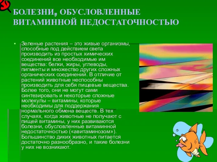 БОЛЕЗНИ, ОБУСЛОВЛЕННЫЕ ВИТАМИННОЙ НЕДОСТАТОЧНОСТЬЮ Зеленые растения – это живые организмы,