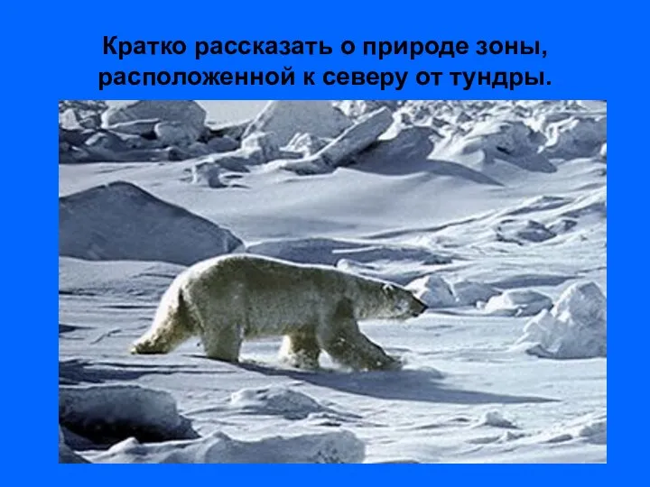 Кратко рассказать о природе зоны, расположенной к северу от тундры.