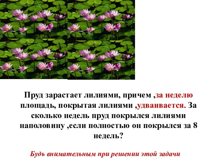 Будь внимательным при решении этой задачи Пруд зарастает лилиями, причем