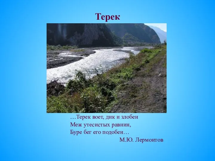 Терек …Терек воет, дик и злобен Меж утесистых равнин, Буре бег его подобен… М.Ю. Лермонтов