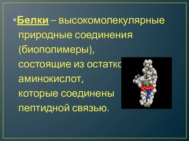 Белки – высокомолекулярные природные соединения (биополимеры), состоящие из остатков аминокислот, которые соединены пептидной связью.