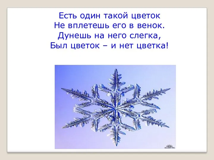 Есть один такой цветок Не вплетешь его в венок. Дунешь