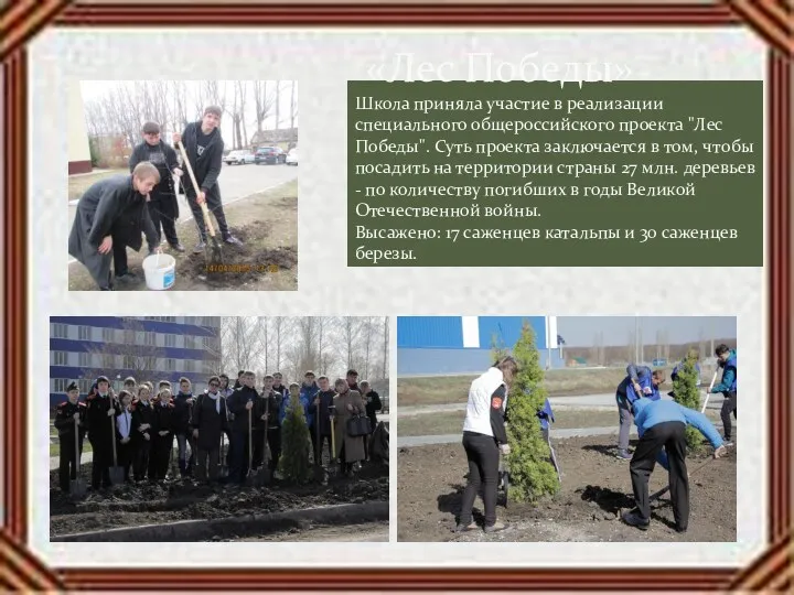 «Лес Победы» Школа приняла участие в реализации специального общероссийского проекта