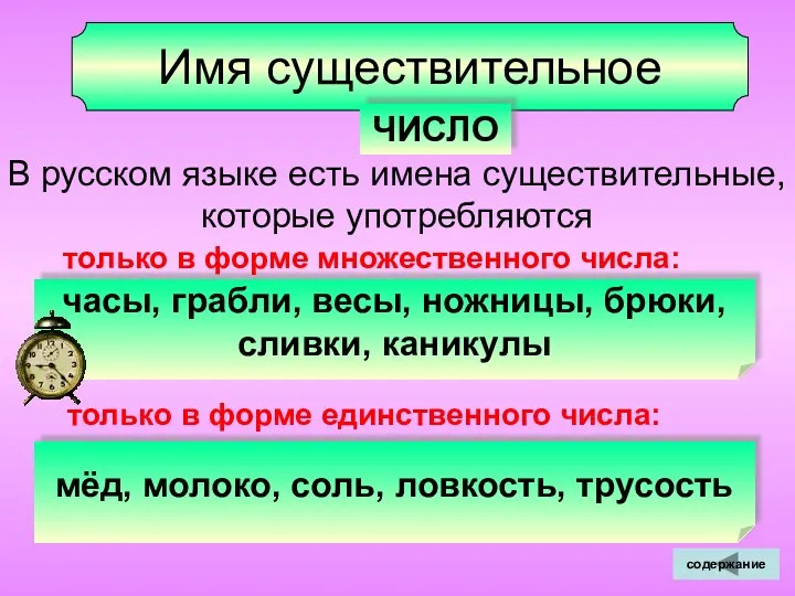 Имя существительное ЧИСЛО В русском языке есть имена существительные, которые