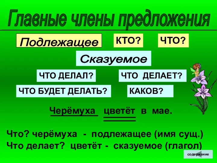 Черёмуха цветёт в мае. Что? черёмуха - подлежащее (имя сущ.)