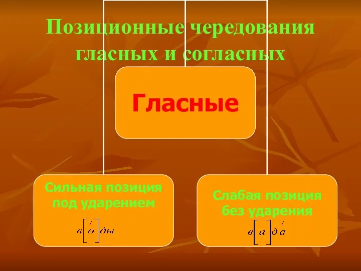 Позиционные чередования гласных и согласных Гласные Сильная позиция под ударением Слабая позиция без ударения