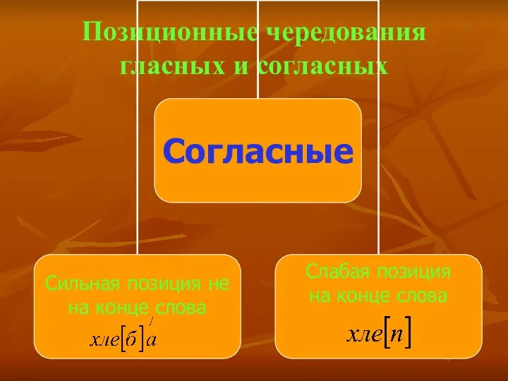 Позиционные чередования гласных и согласных