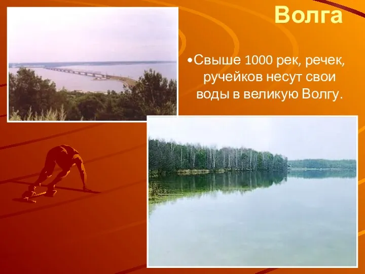 Свыше 1000 рек, речек, ручейков несут свои воды в великую Волгу. Волга