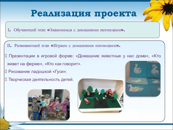 . Обучающий этап «Знакомимся с домашними питомцами». Реализация проекта .