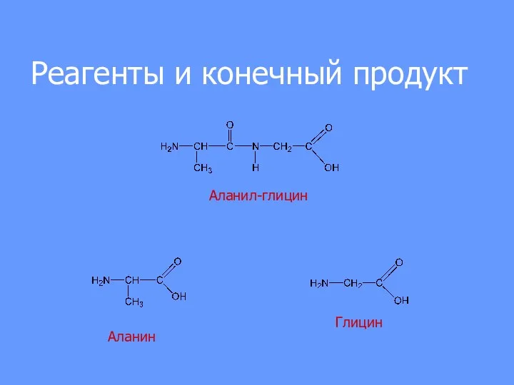 Реагенты и конечный продукт Глицин Аланил-глицин Аланин