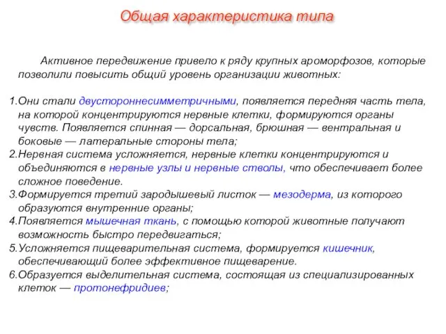 Активное передвижение привело к ряду крупных ароморфозов, которые позволили повысить