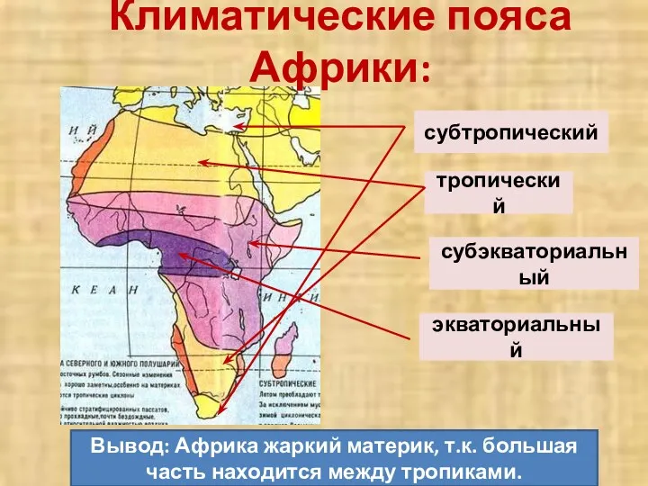 Климатические пояса Африки: экваториальный субэкваториальный тропический субтропический Вывод: Африка жаркий