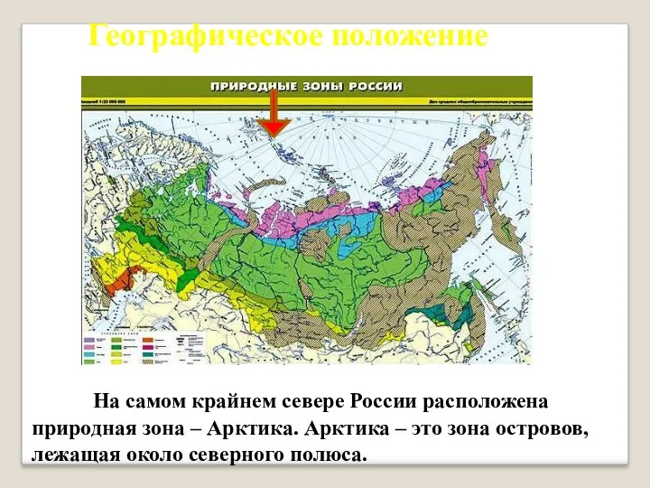 Географическое положение На самом крайнем севере России расположена природная зона