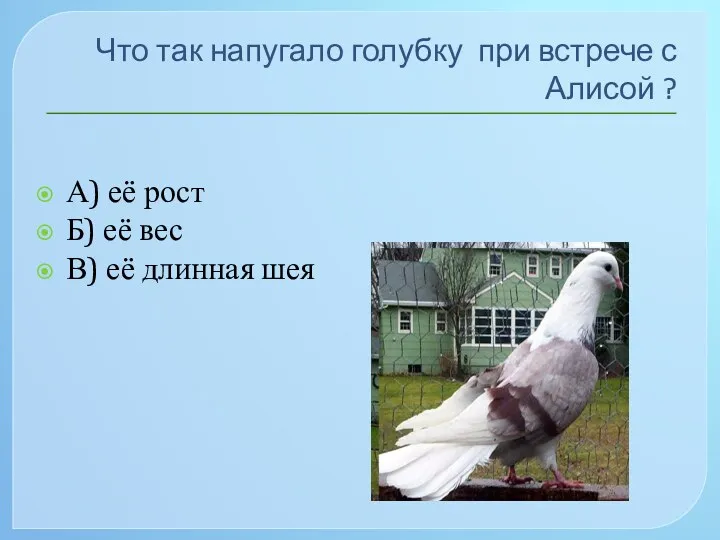 Что так напугало голубку при встрече с Алисой ? А)