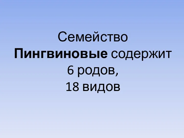 Семейство Пингвиновые содержит 6 родов, 18 видов