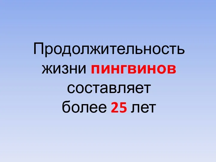 Продолжительность жизни пингвинов составляет более 25 лет