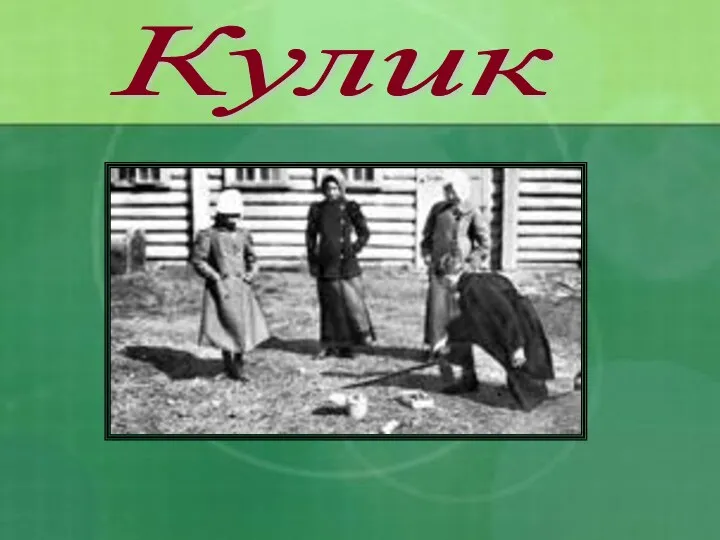 Кулик