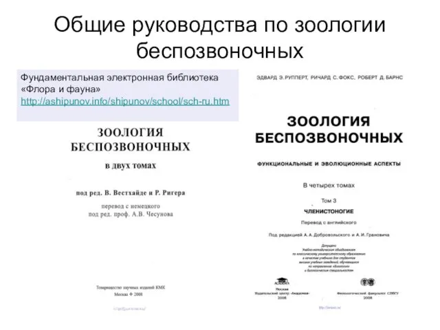 Общие руководства по зоологии беспозвоночных Фундаментальная электронная библиотека «Флора и фауна» http://ashipunov.info/shipunov/school/sch-ru.htm