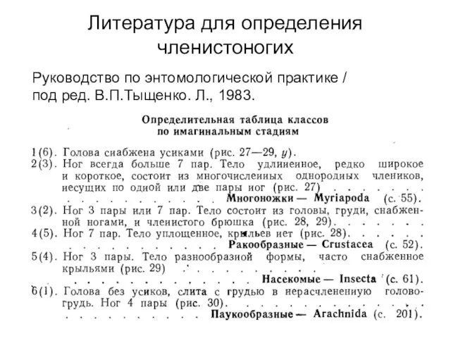 Литература для определения членистоногих Руководство по энтомологической практике / под ред. В.П.Тыщенко. Л., 1983.