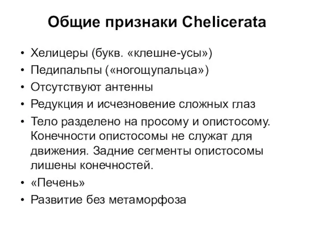 Общие признаки Chelicerata Хелицеры (букв. «клешне-усы») Педипальпы («ногощупальца») Отсутствуют антенны