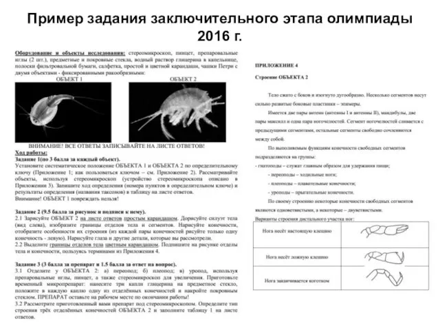 Пример задания заключительного этапа олимпиады 2016 г.