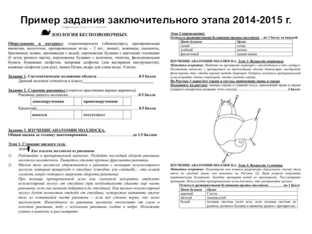 Пример задания заключительного этапа 2014-2015 г.