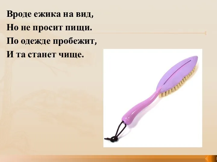 Вроде ежика на вид, Но не просит пищи. По одежде пробежит, И та станет чище.