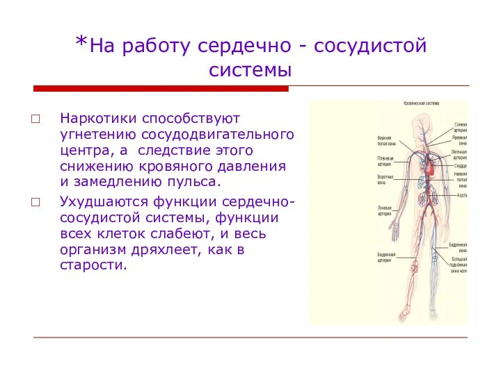 *На работу сердечно - сосудистой системы Наркотики способствуют угнетению сосудодвигательного