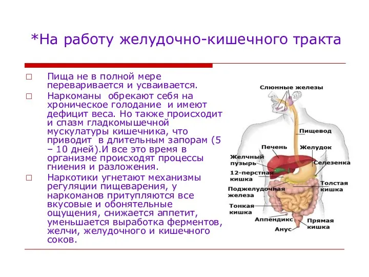 *На работу желудочно-кишечного тракта Пища не в полной мере переваривается