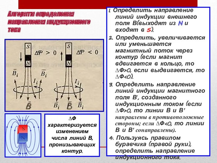 Алгоритм определения направления индукционного тока 1. Определить направление линий индукции