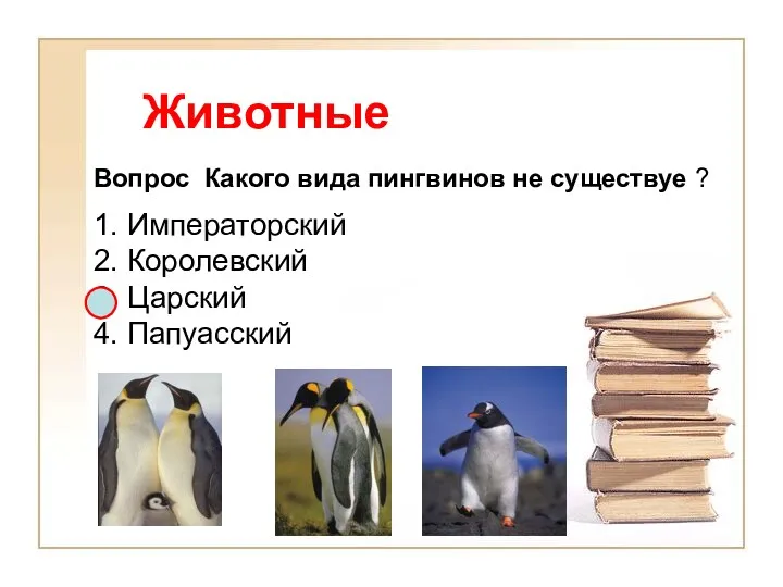 Животные Вопрос Какого вида пингвинов не существуе ? 1. Императорский 2. Королевский 3. Царский 4. Папуасский