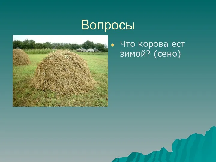 Вопросы Что корова ест зимой? (сено)