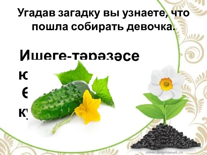 Ишеге-тәрәзәсе юк, Өй эче тулы кунаклар. Угадав загадку вы узнаете, что пошла собирать девочка.