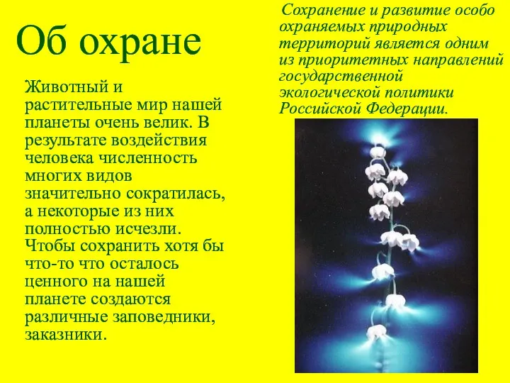 Об охране Сохранение и развитие особо охраняемых природных территорий является одним из приоритетных