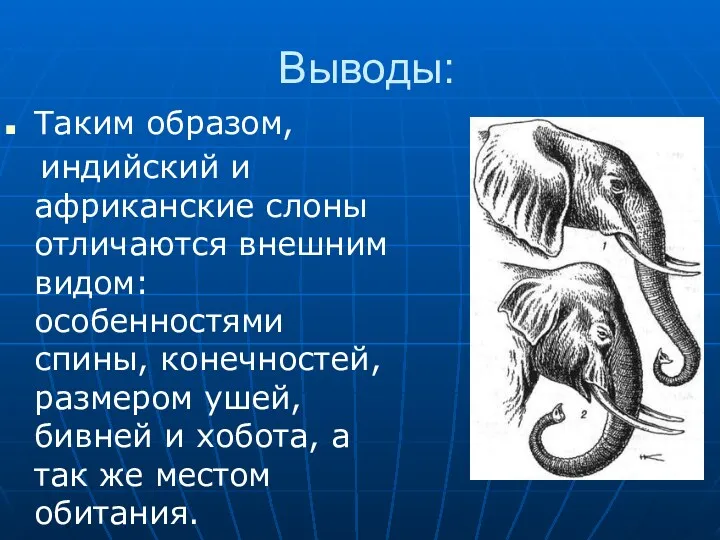 Выводы: Таким образом, индийский и африканские слоны отличаются внешним видом: