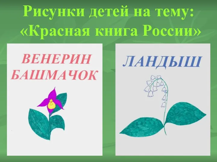 Рисунки детей на тему: «Красная книга России»
