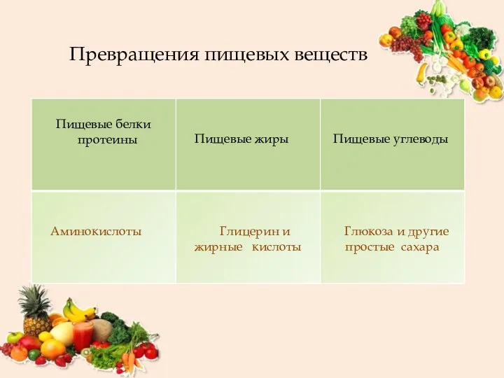 Превращения пищевых веществ Пищевые белки протеины