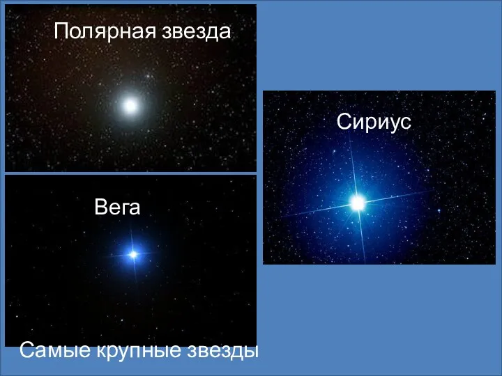 Полярная звезда Сириус Вега Самые крупные звезды