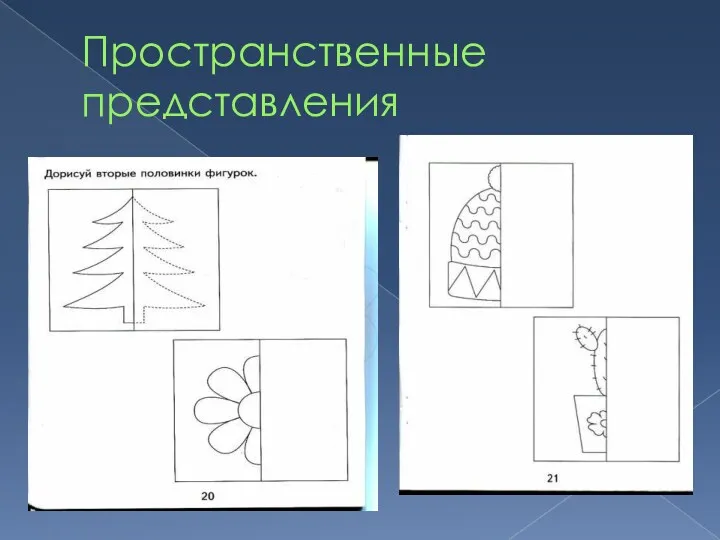 Пространственные представления