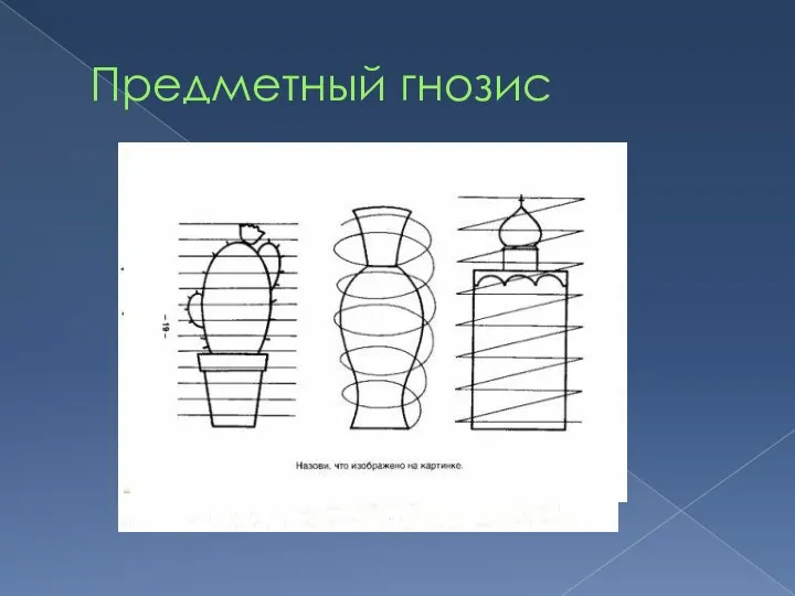 Предметный гнозис