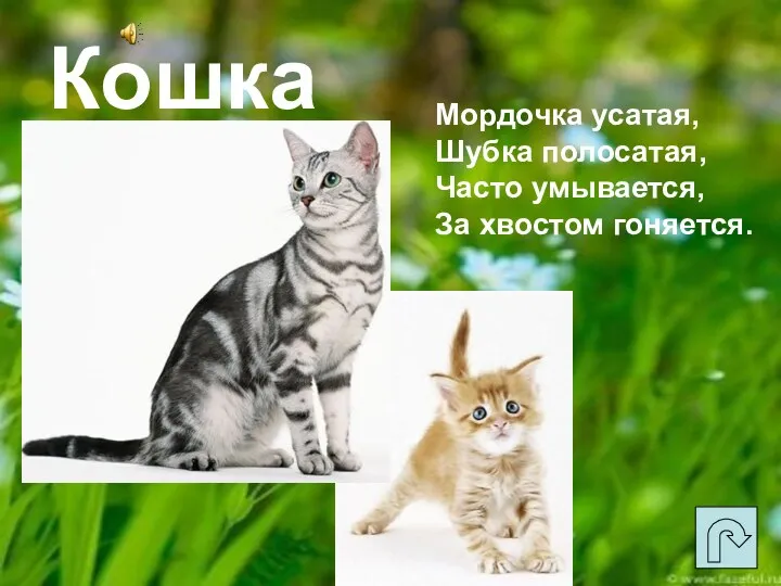 Кошка Мордочка усатая, Шубка полосатая, Часто умывается, За хвостом гоняется.