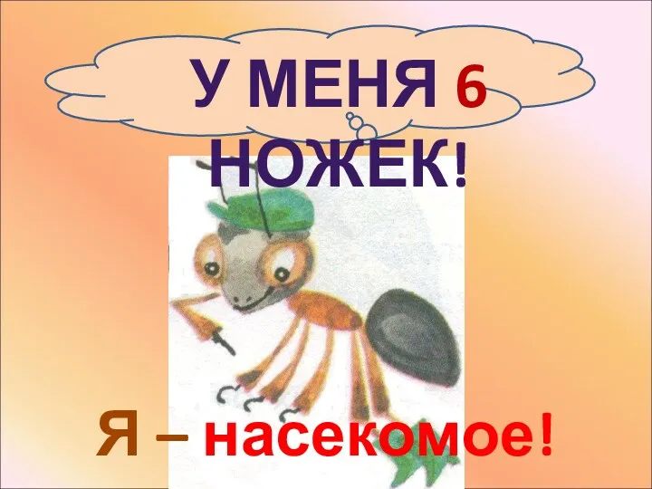 У МЕНЯ 6 НОЖЕК! Я – насекомое!