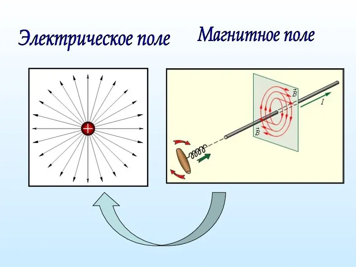 Электрическое поле Магнитное поле