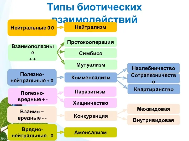 Типы биотических взаимодействий Нейтрализм Протокооперация Симбиоз Мутуализм Комменсализм Паразитизм Хищничество