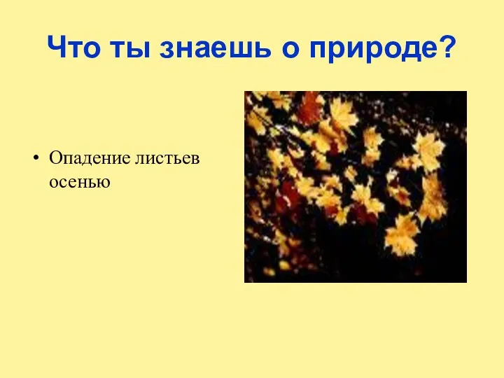 Что ты знаешь о природе? Опадение листьев осенью